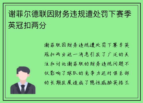 谢菲尔德联因财务违规遭处罚下赛季英冠扣两分 谢菲尔德联因财务违规遭处罚下赛季英冠扣两分